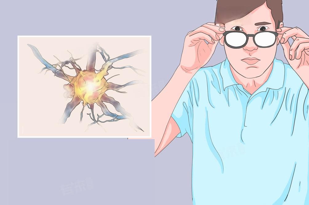 自主神经是什么意思