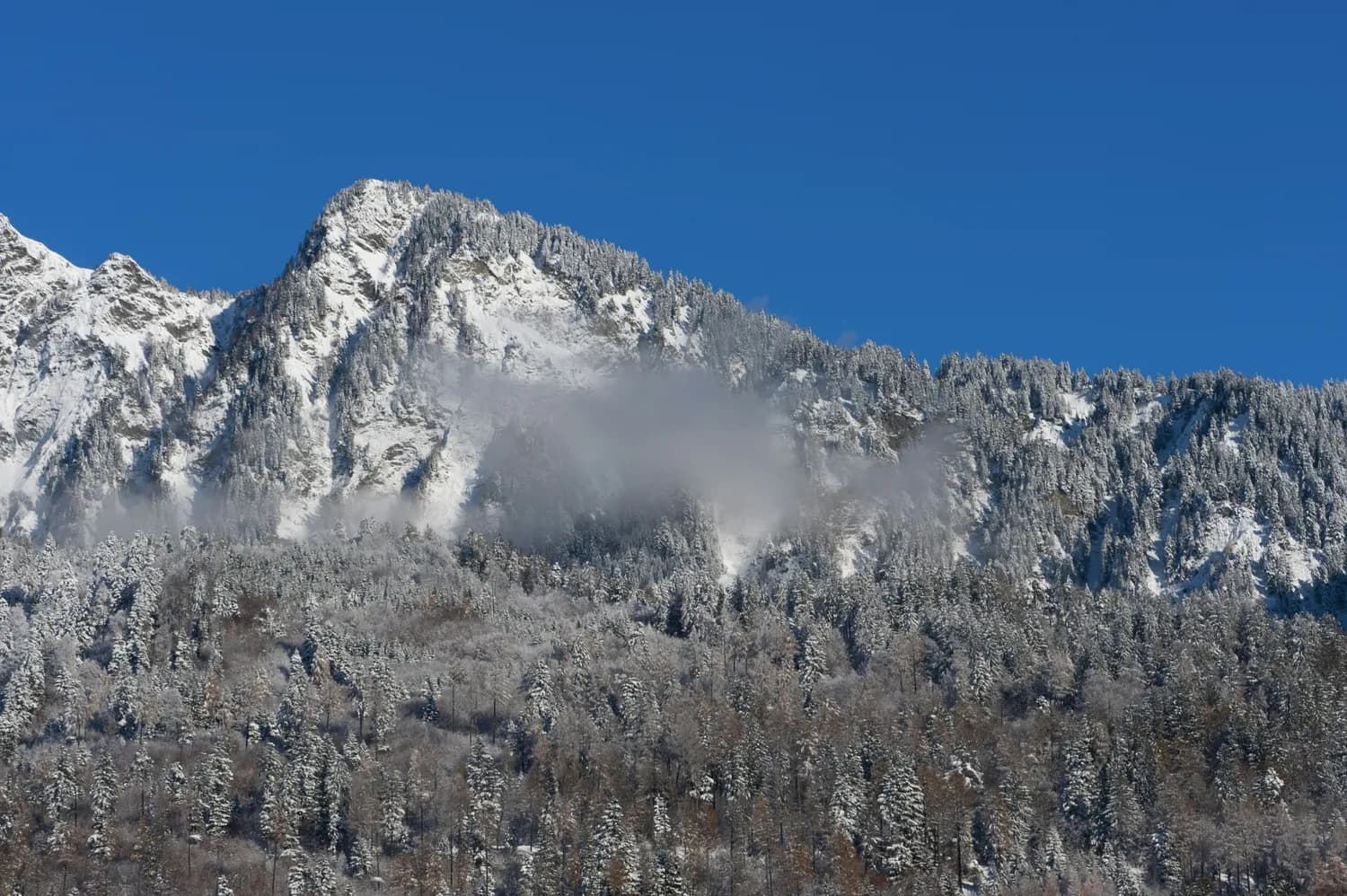 光雾山冬季雪景打卡：燕子岭索道至七女峰