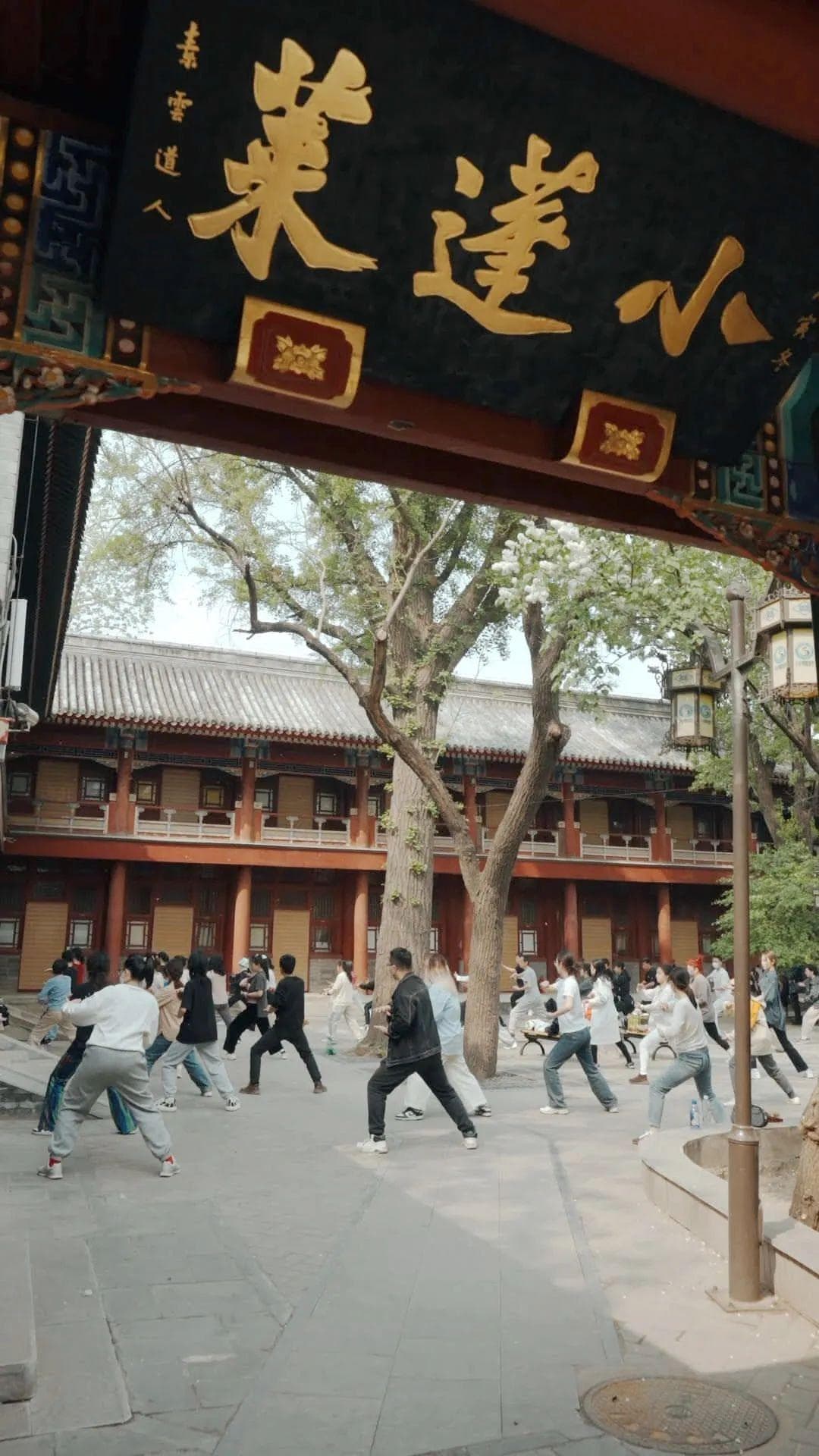 年轻人涌入道观：打太极、拜神，安顿身心