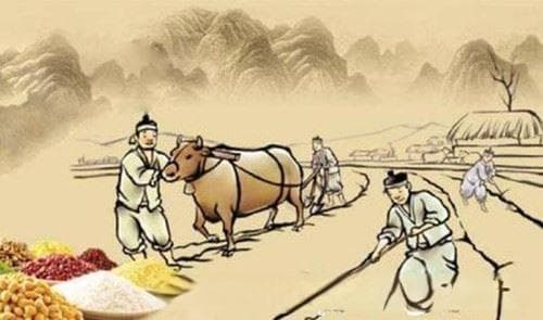 区田法是什么