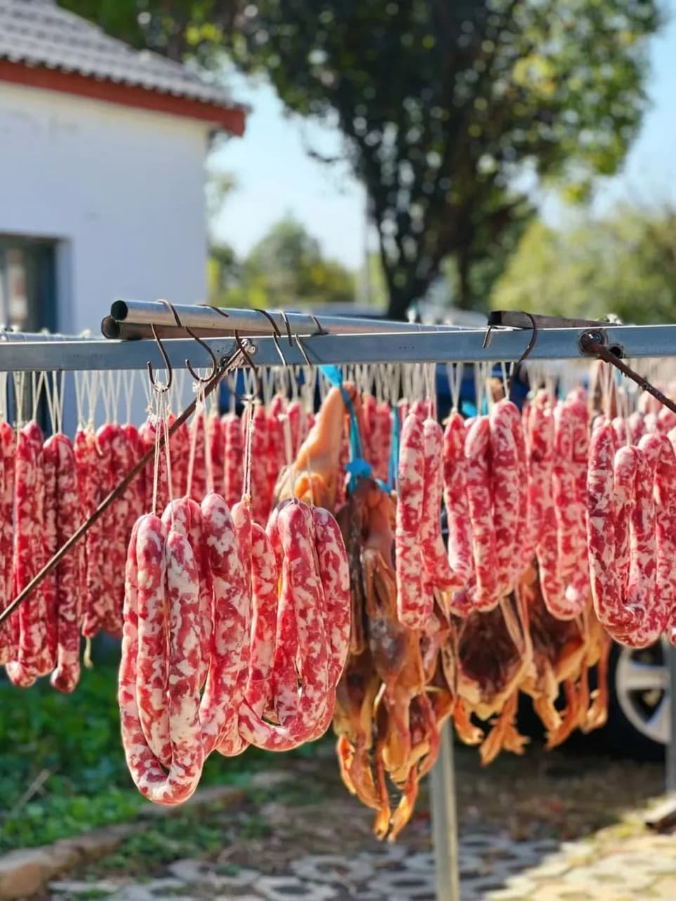 给孩子讲的家乡故事：咸鱼咸肉