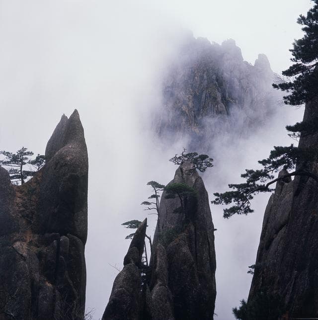 黄山旅游攻略：探寻当地美食的旅程