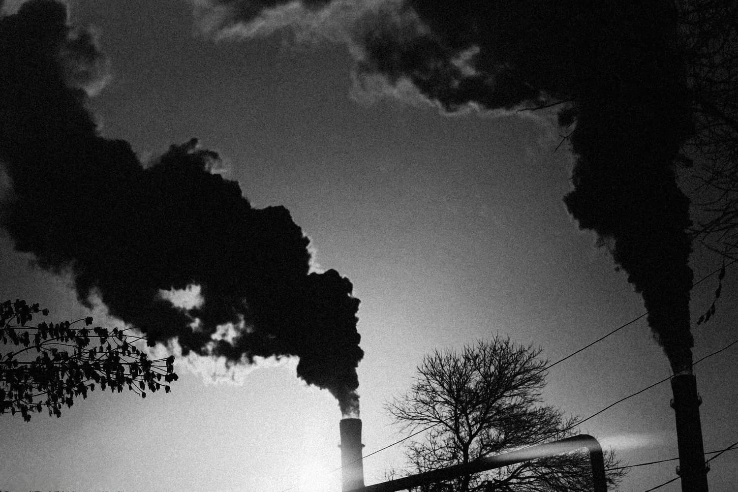 全球年增25.9亿吨生物质碳排放，中国多地出台新策应对气候变化