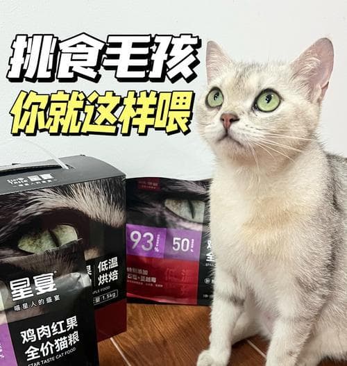 吃猫粮为什么毛发会光洁？猫粮对猫咪毛发有何影响？