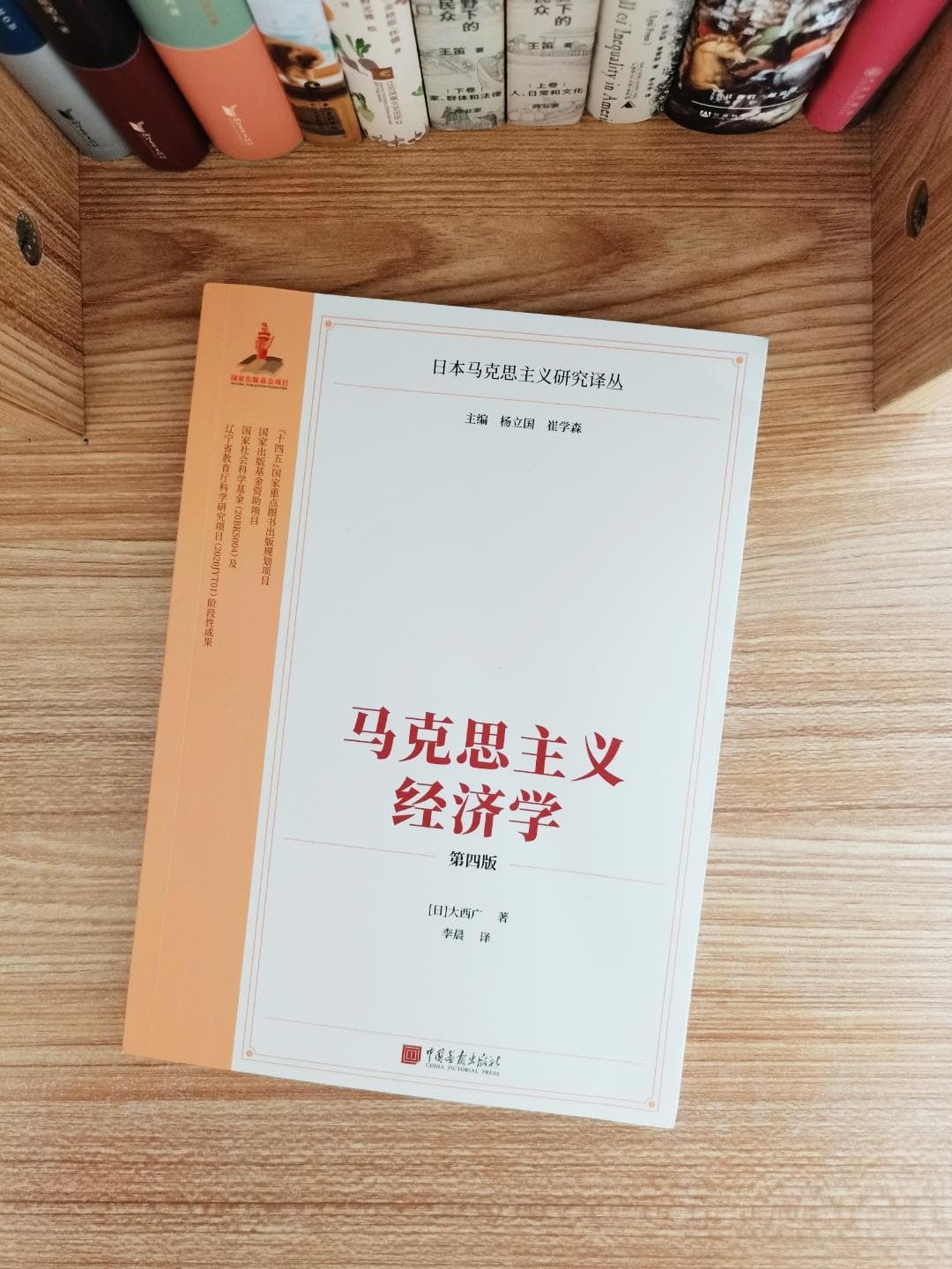 揭秘资本主义本质：《马克思主义经济学》新视角，大西广带你穿越经济迷雾！