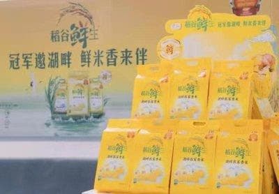 龙鱼怎么区分公母图解（区分龙鱼的公母是一些具体的特征）