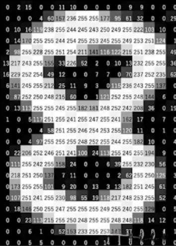 图片格式大解析：从JPEG到BMP，一文读懂图片存储原理