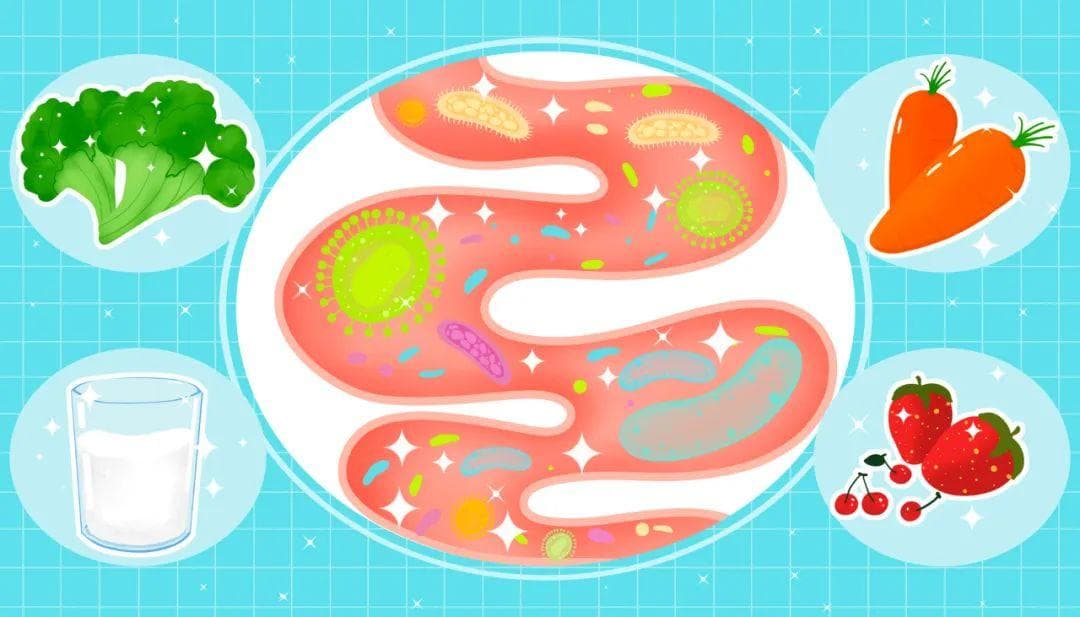 每天必做的健康检查：从大便看身体健康