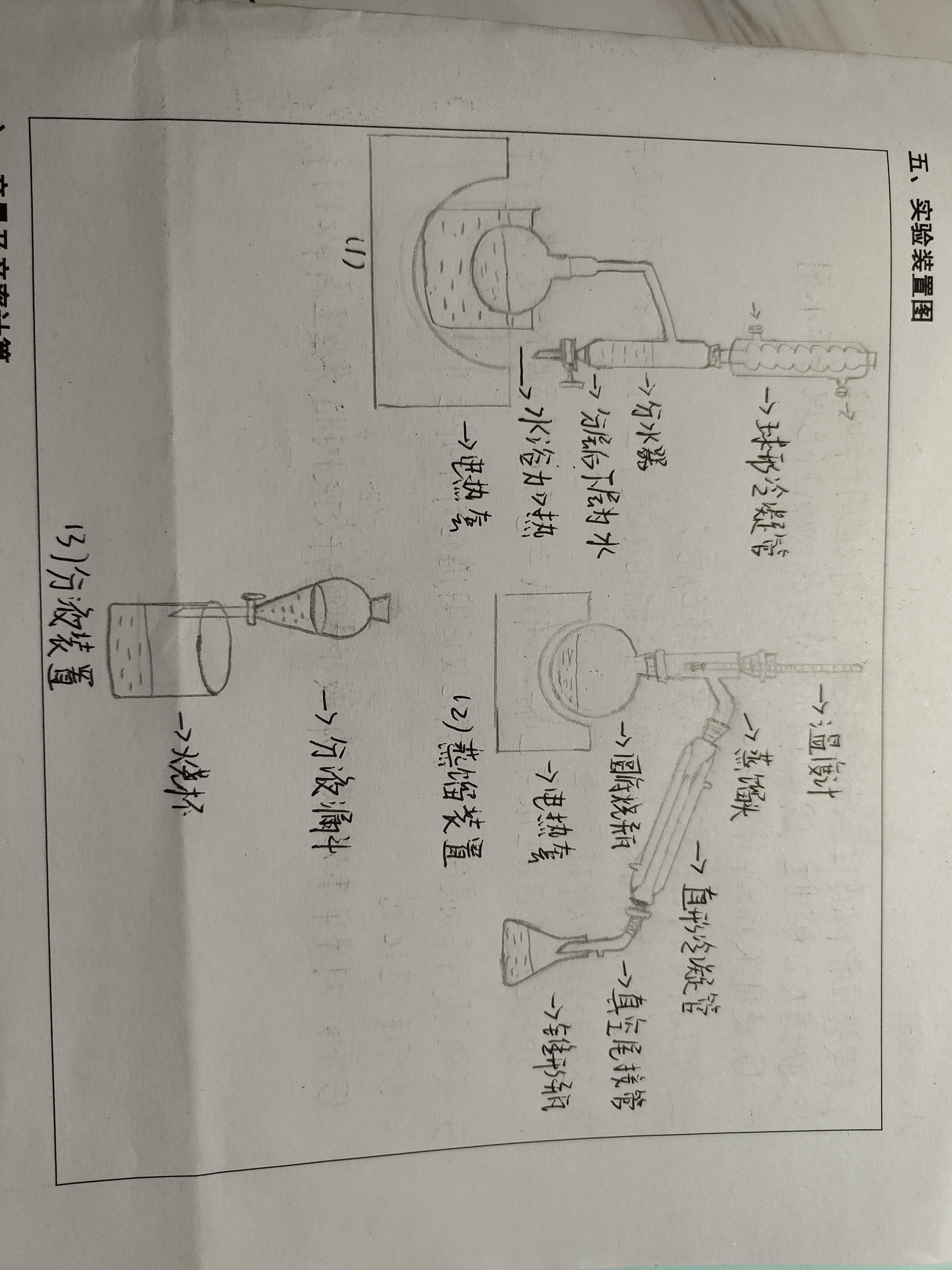 苯甲酸乙酯的制备实验报告