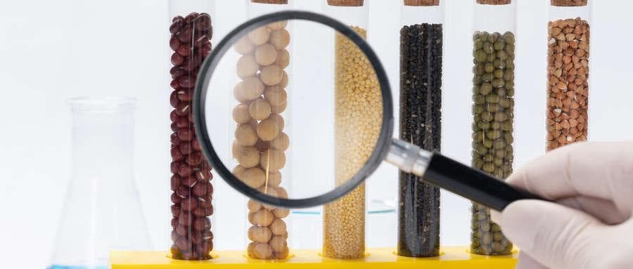 食品检测实验室的LIMS系统部署：从农残检测到报告自动生成