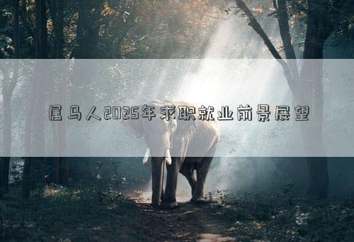 属马人2025年求职就业前景展望