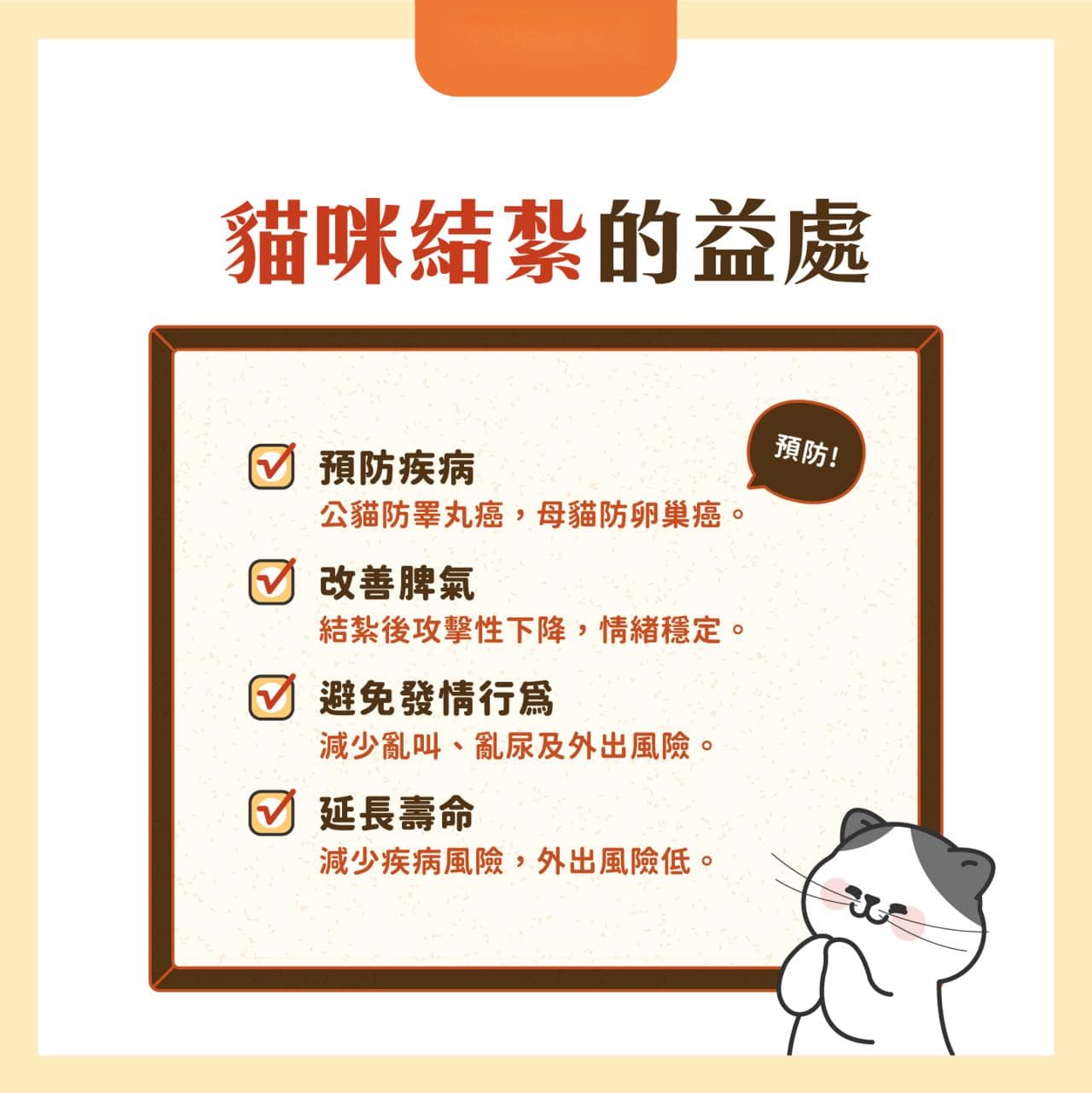 【2025最新】猫咪绝育所有流程/费用及注意事项总整理（养猫家长必知）