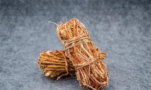 五指毛桃的功效与作用及药用价值