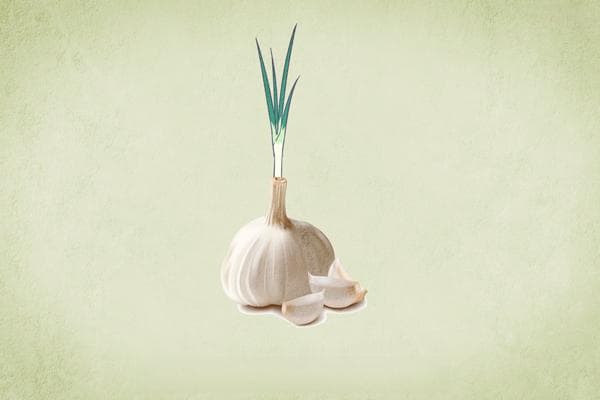蒜苔的营养价值