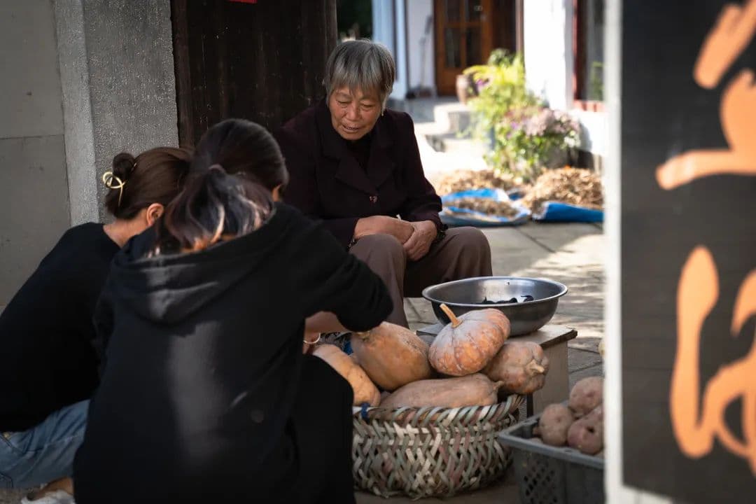 在湖州遇见美丽庭院：江南古村落里的小美庭院