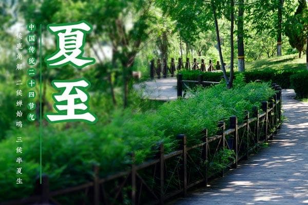 夏至的传统习俗活动有哪些