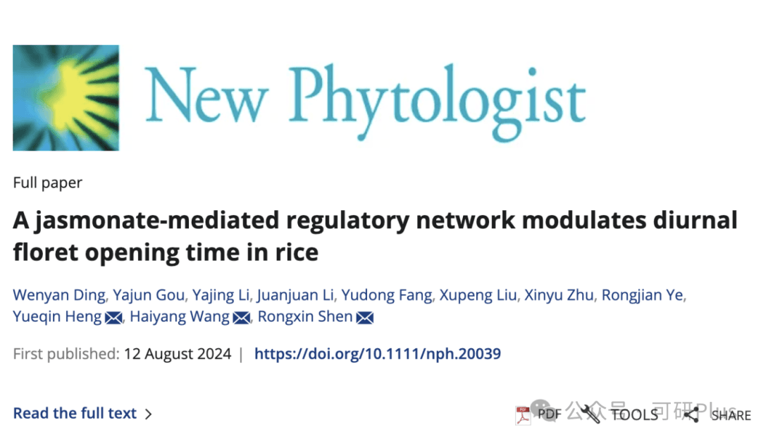 科学家揭示茉莉酸调控水稻花时的分子机制