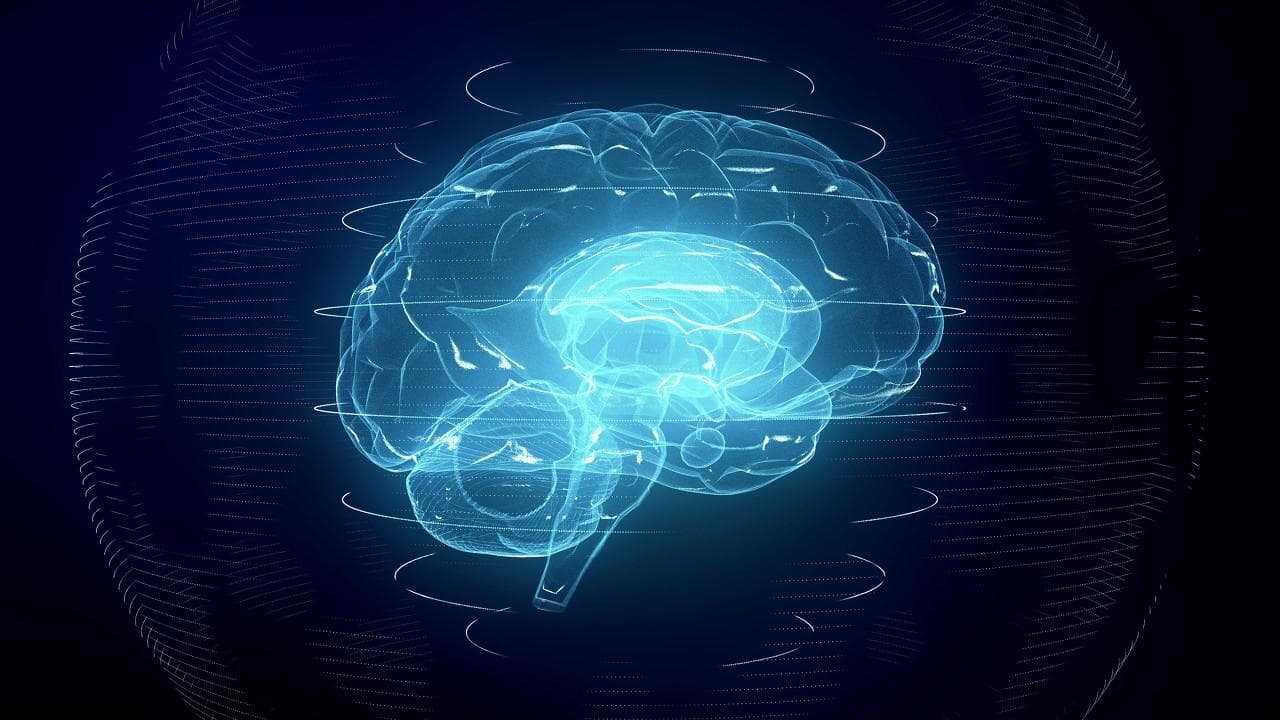 脑袋大的孩子，一定聪明？答案是……
