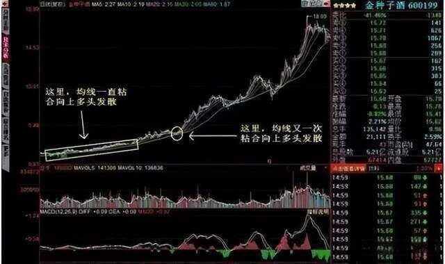 均线粘合之下无秘密