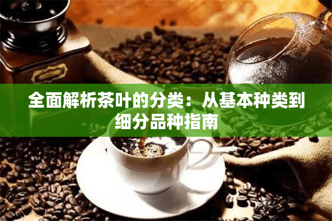 全面解析茶叶的分类：从基本种类到细分品种指南