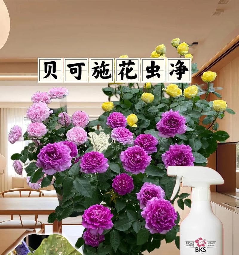 杀虫药土花卉有哪些？如何正确使用杀虫药土保护花卉？