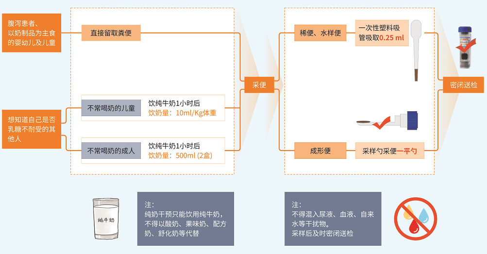 乳糖不耐受检测，原来这么简单！