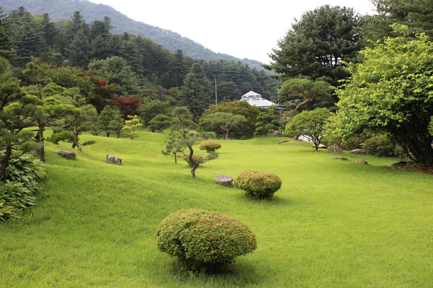 清华教授揭秘：负氧离子的神奇功效与应用前景