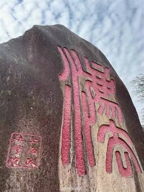 野马浜，青浦水畔的时光褶皱