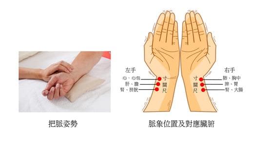【把脈】懷孕脈象準確度？左右手分別？中醫把脈位置、原理教學