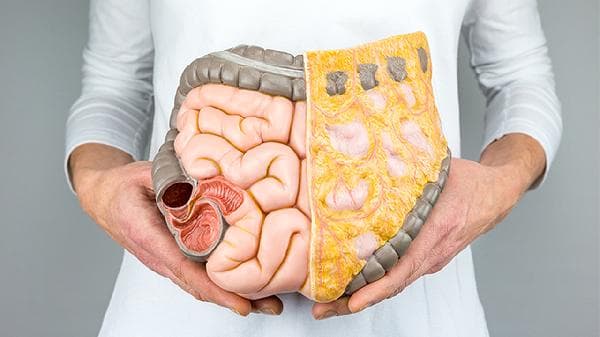 肠胃有问题怎么办？三方面入手改善肠胃健康
