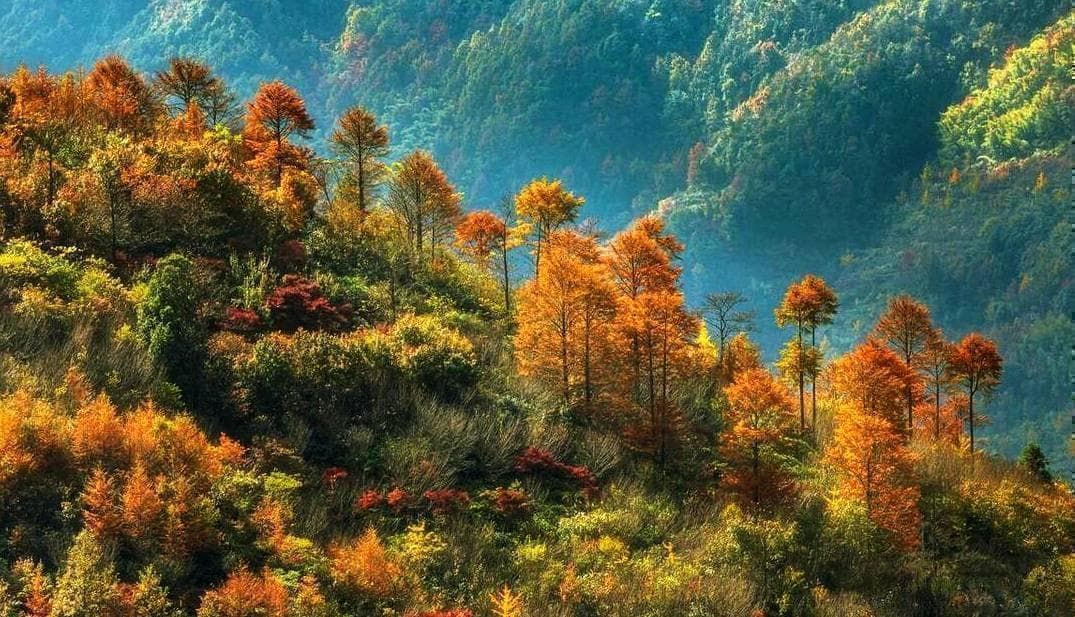 宁波四明山金秋自驾指南：细北线浒溪线串联9处绝美秋景