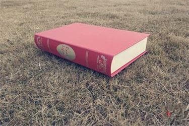 孕妇打人算群殴吗？被打还手算互殴吗？