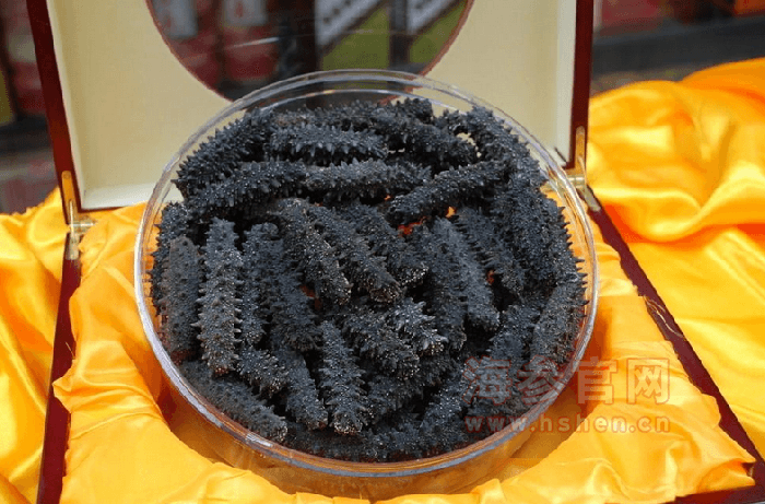 干海参如何食用：泡发与烹饪全攻略