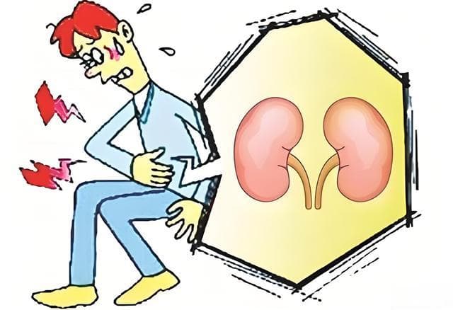 慢性肾小球肾炎中医治疗：湿热瘀血是关键