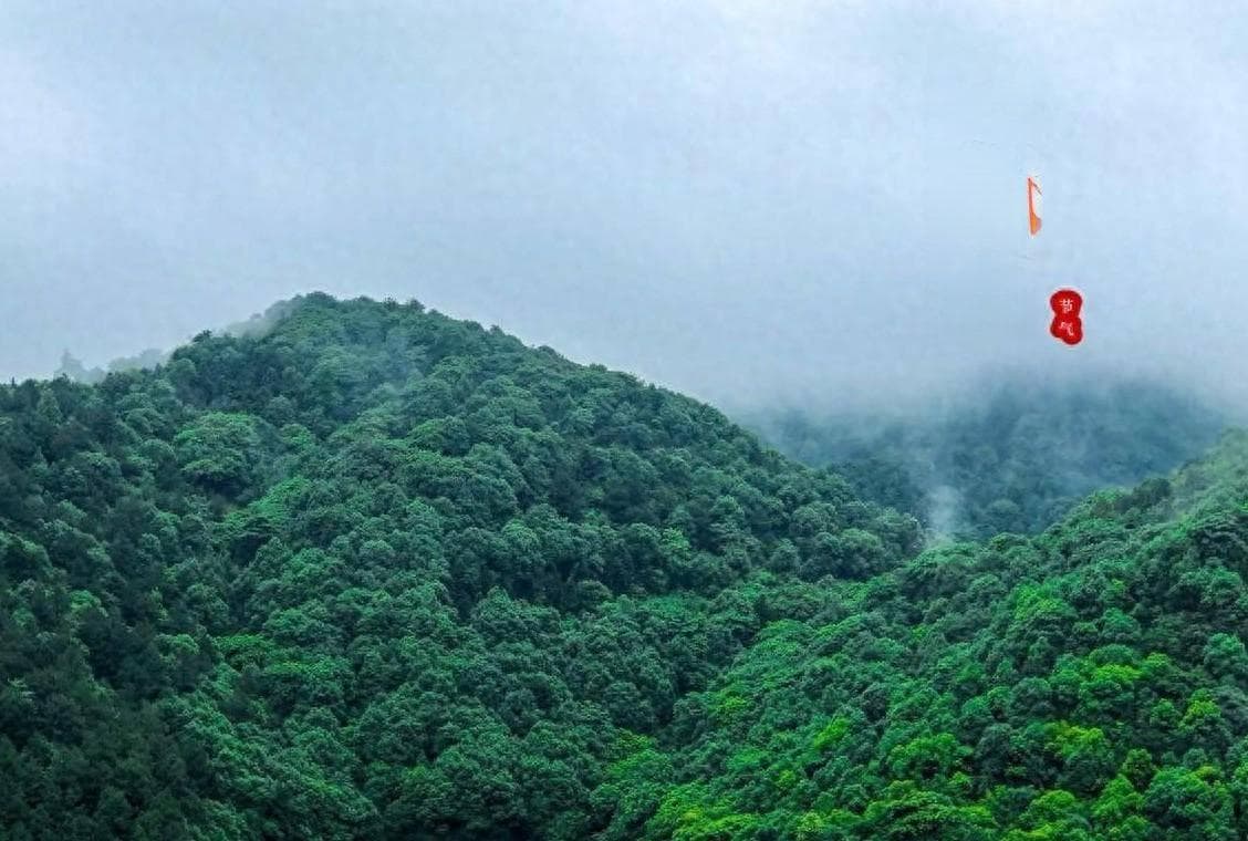 “清明时节雨纷纷，路上行人欲断魂",清明节为什么去扫墓答案来了
