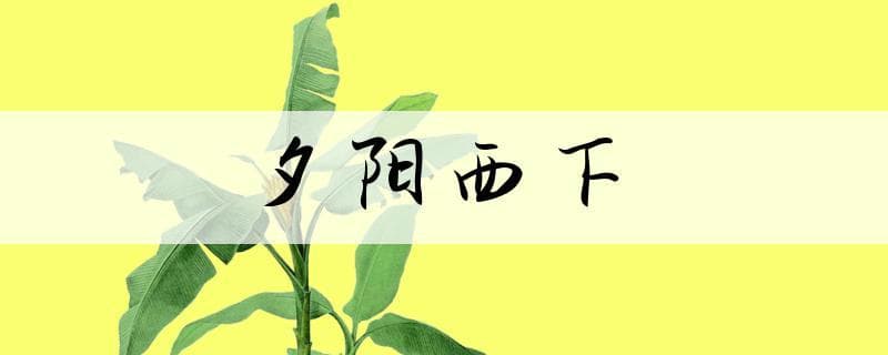 夕阳西下怎么造句：不同场景下的优美表达与例句赏析
