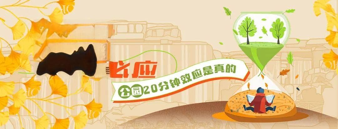 海淀，有“秋”必应 | 一山如画万千秋色，是凤凰岭给秋天的应答