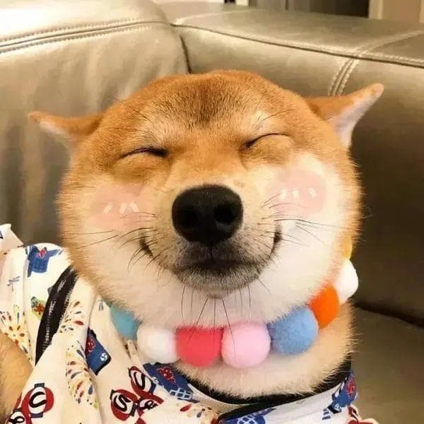 狗狗的急性脑炎，到底是一种什么疾病？