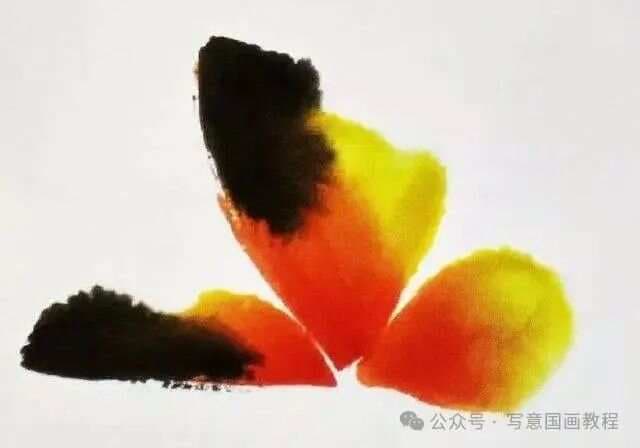 【国画教程】画蝴蝶的步骤，以及姿态各异的蝴蝶画