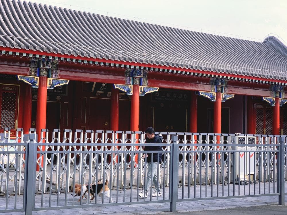 走遍北京胡同：前海西街，一个住过无数名人的地方