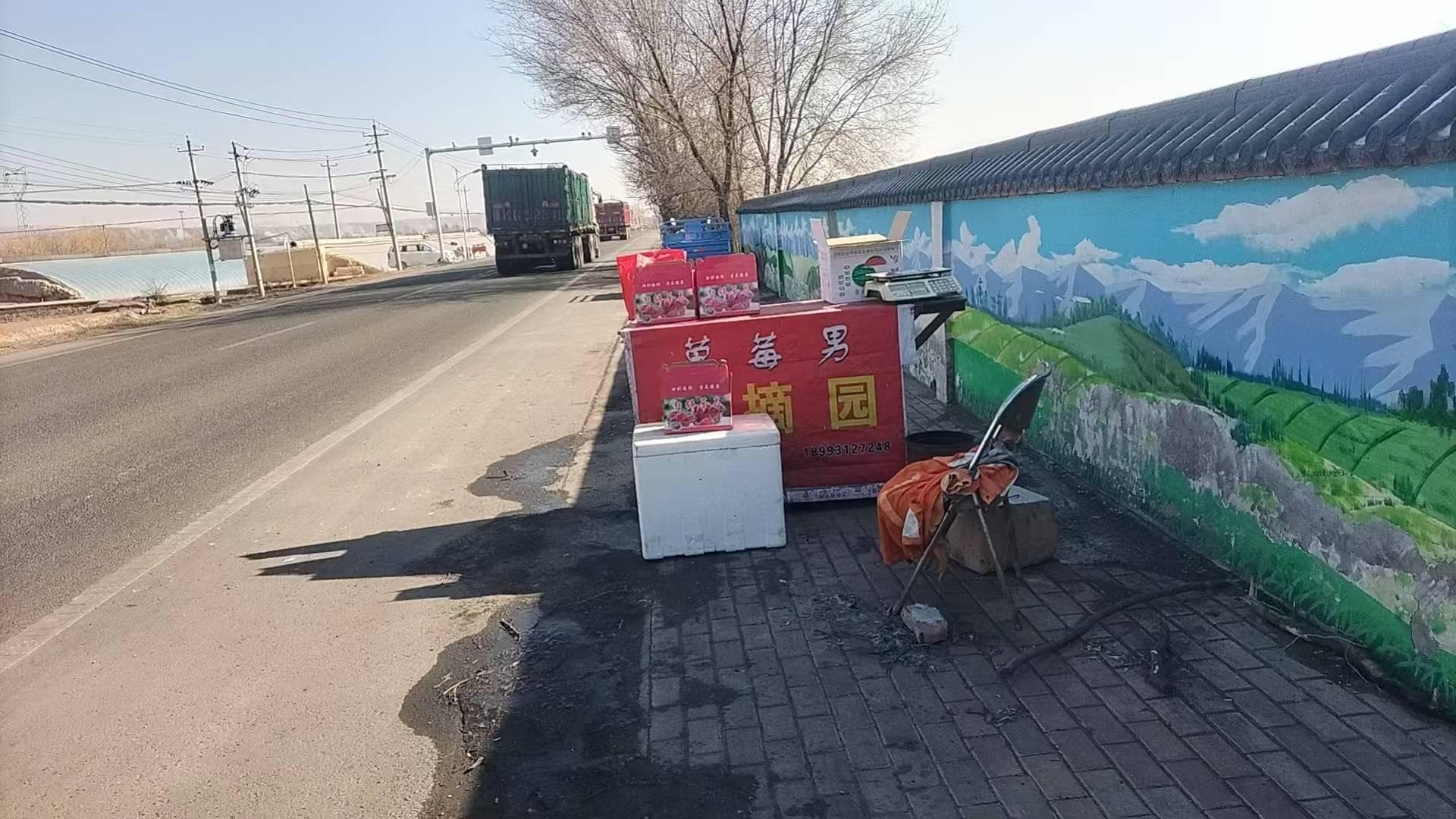 草莓园里的逐梦人生：“草莓男”的励志故事