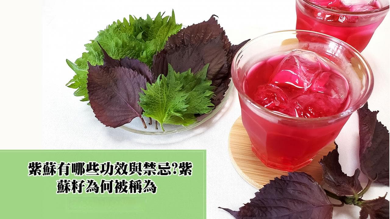 紫苏的功效与禁忌：为什么紫苏籽被称为田里的鱼油？