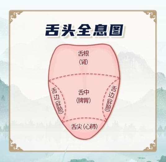 中医望诊精华：如何通过观察舌头判断健康状况？