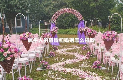属牛人的感情和婚姻怎么样呀