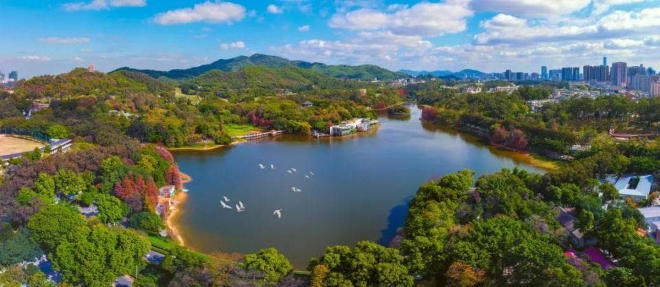 广州麓湖：生态建设绘就人与自然和谐共生新画卷