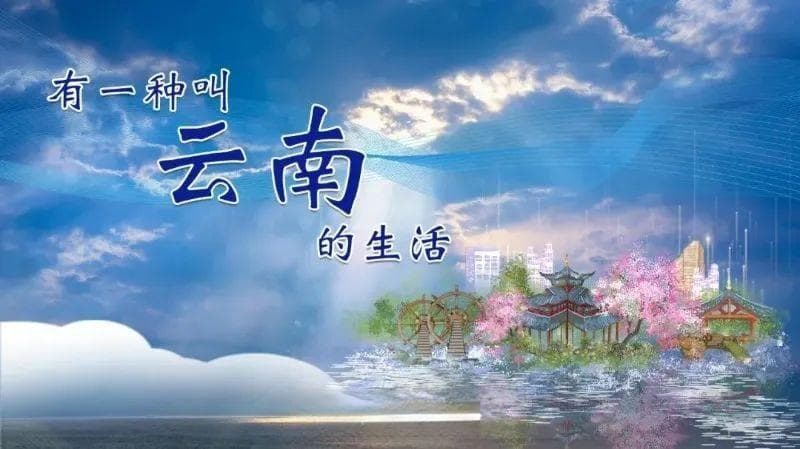 听云南 | “奶凶”的镇宅神兽——大理瓦猫