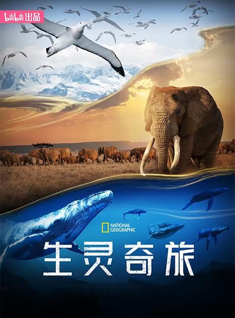 9.3高分纪录片《生灵奇旅》：展现动物迁徙史诗