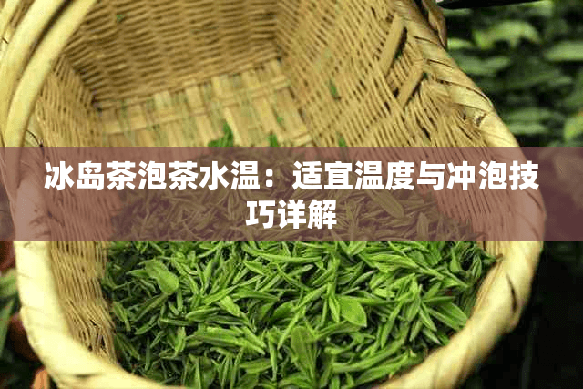 冰岛茶泡茶水温：适宜温度与冲泡技巧详解