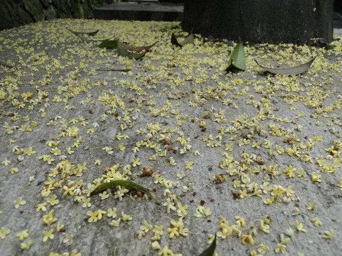 念佛调节情绪