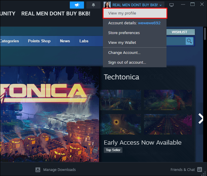 如何在 Steam 中将个人资料设置为私有